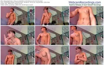 stripchat-andrius_24-12-19-2024-15-22-24