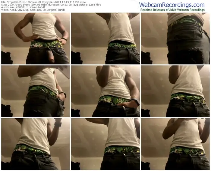 stripchat-sluttylyfe4l-12-19-2024-11-19-39