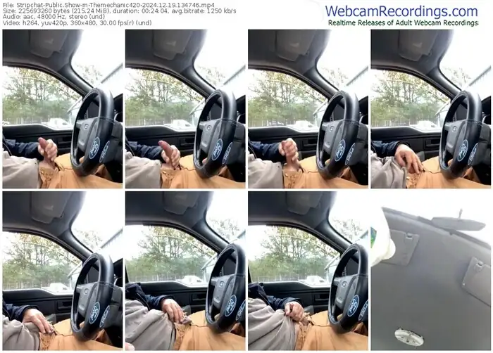 stripchat-themechanic420-12-19-2024-13-47-46