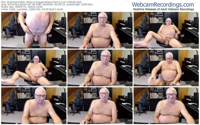 stripchat-biggandybig-12-19-2024-13-20-40