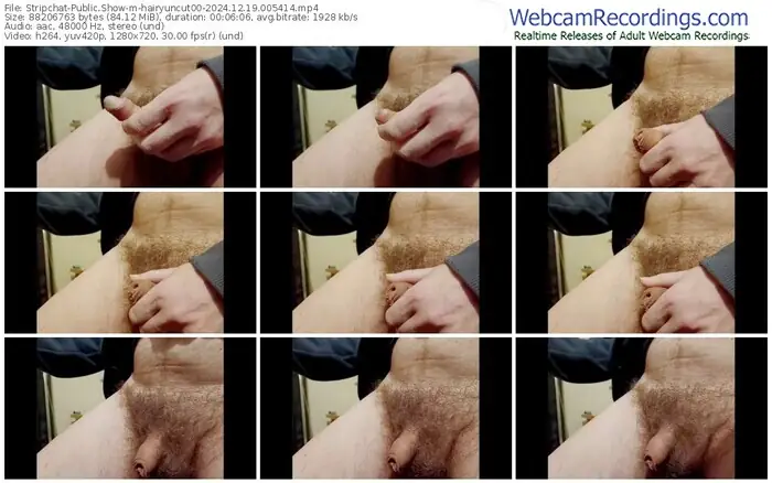 stripchat-hairyuncut00-12-19-2024-00-54-14