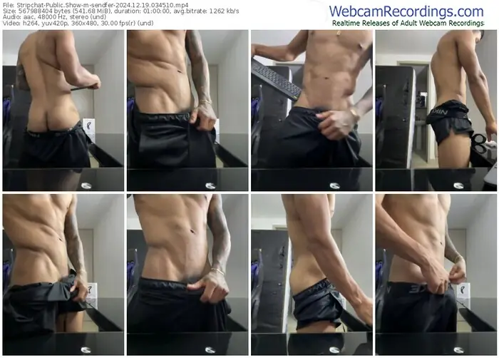 stripchat-sendfer-12-19-2024-03-45-10