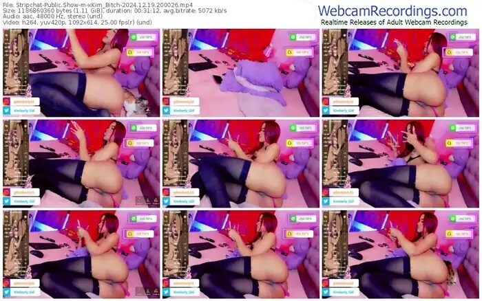 stripchat-xkim_bitch-12-19-2024-20-00-26