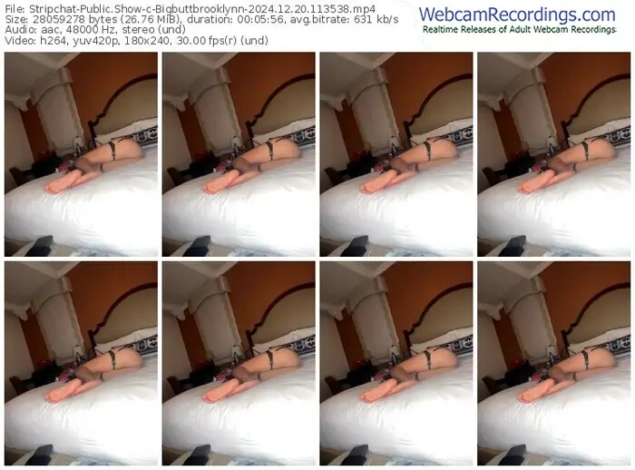 stripchat-bigbuttbrooklynn-12-20-2024-11-35-38