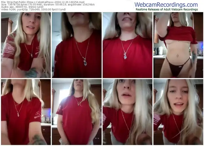 stripchat-celestialfoxxx-12-20-2024-16-02-54
