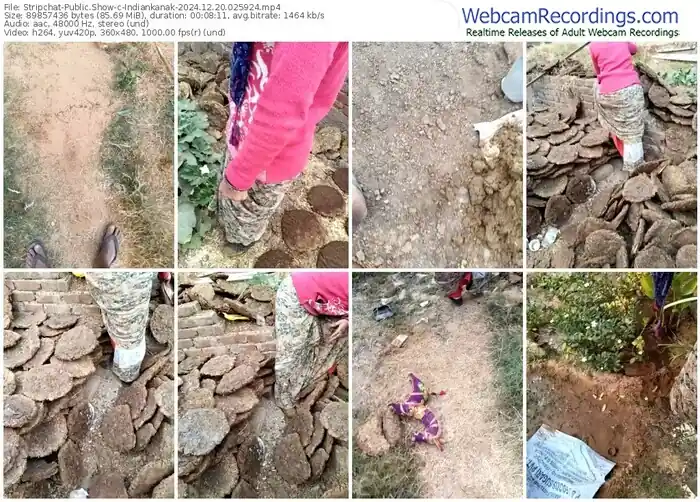 stripchat-indiankanak-12-20-2024-02-59-24
