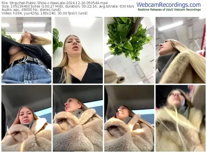 stripchat-newlale-12-20-2024-05-05-49