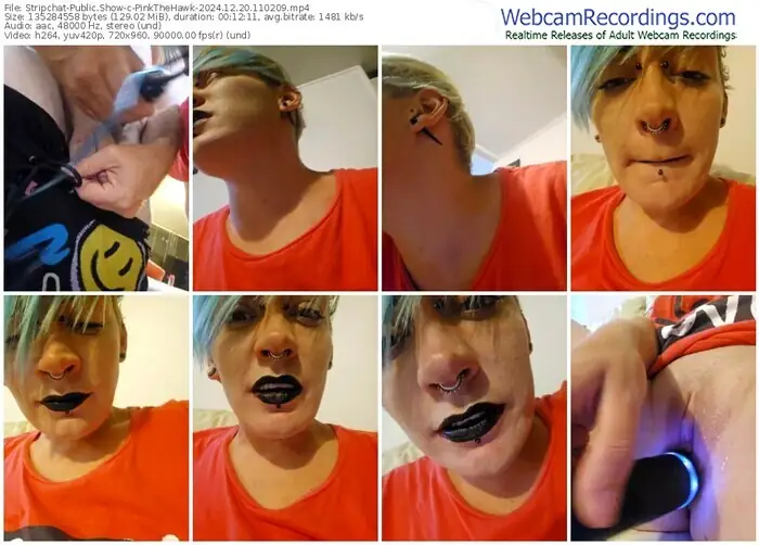 stripchat-pinkthehawk-12-20-2024-11-02-09