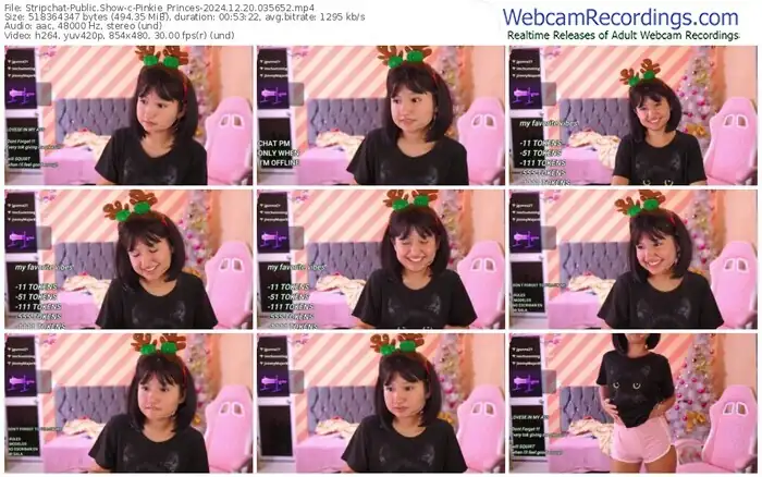 stripchat-pinkie_princes-12-20-2024-03-56-52