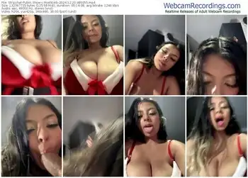 stripchat-rsellamb-12-20-2024-08-00-55