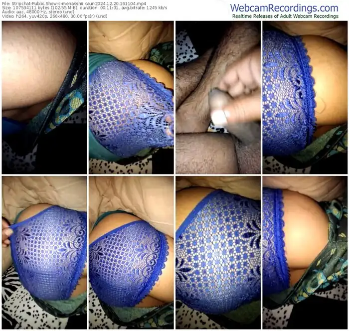 stripchat-menakshiiikaur-12-20-2024-16-11-04