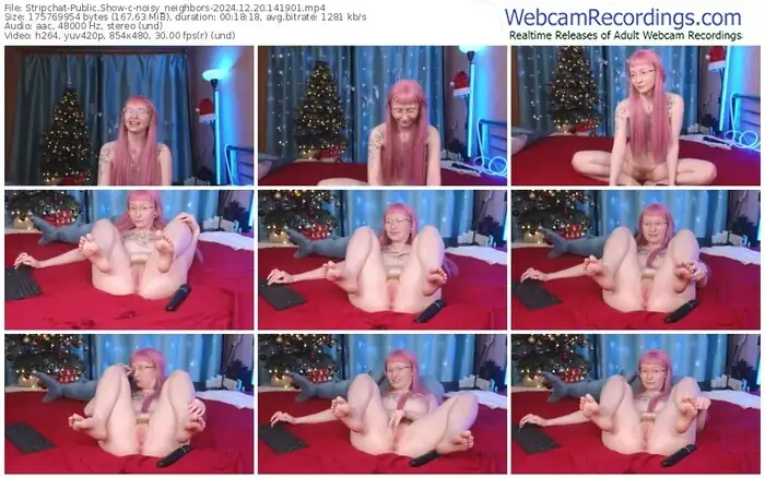 stripchat-noisy_neighbors-12-20-2024-14-19-01