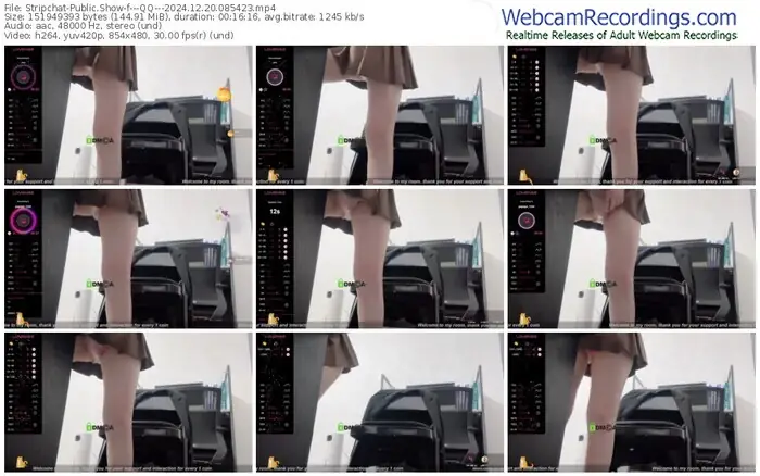 stripchat---qq---12-20-2024-08-54-23