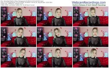 stripchat-dragonwind-12-20-2024-23-16-01