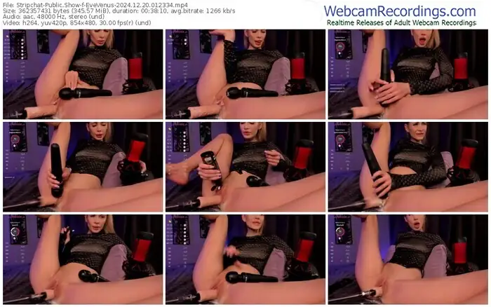 stripchat-evevenus-12-20-2024-01-23-34