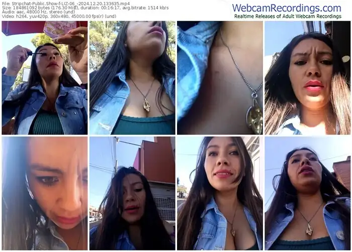 stripchat-liz-06_-12-20-2024-13-36-35