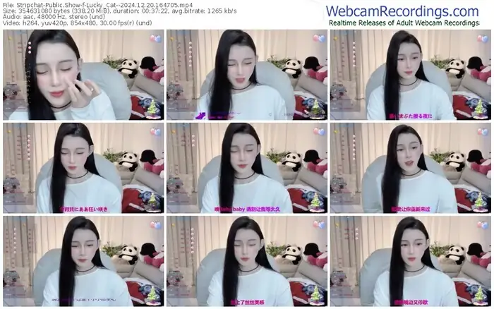 stripchat-lucky_cat--12-20-2024-16-47-05