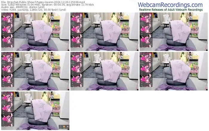 stripchat-puppy-lovenn-12-20-2024-12-53-39