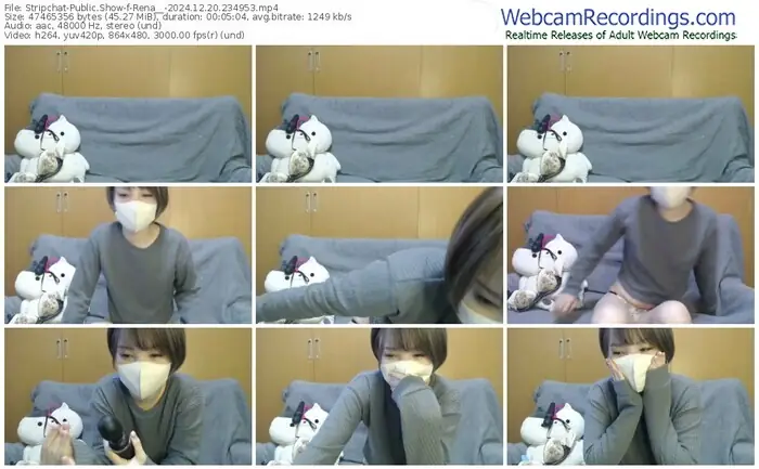 stripchat-rena__-12-20-2024-23-49-53
