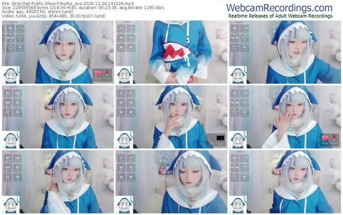 stripchat-ruirui_ovo-12-20-2024-14-10-26