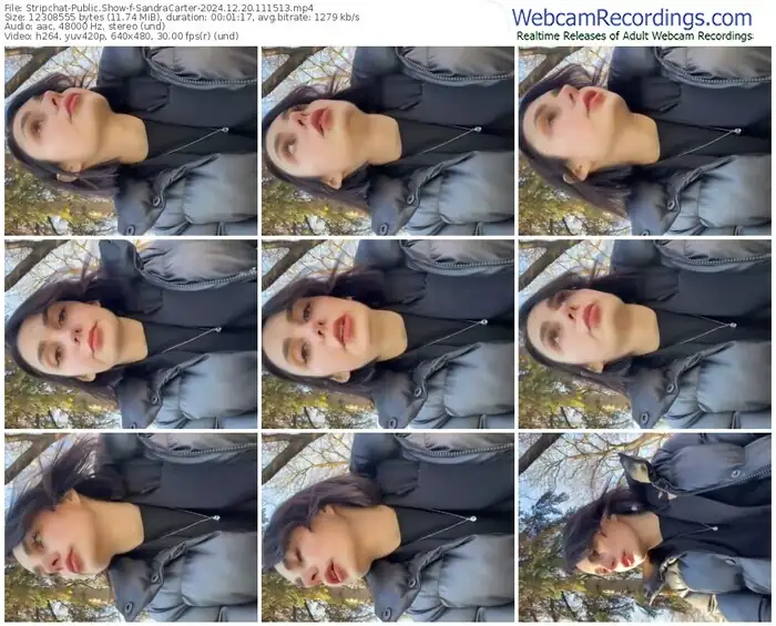 stripchat-sandracarter-12-20-2024-11-15-13
