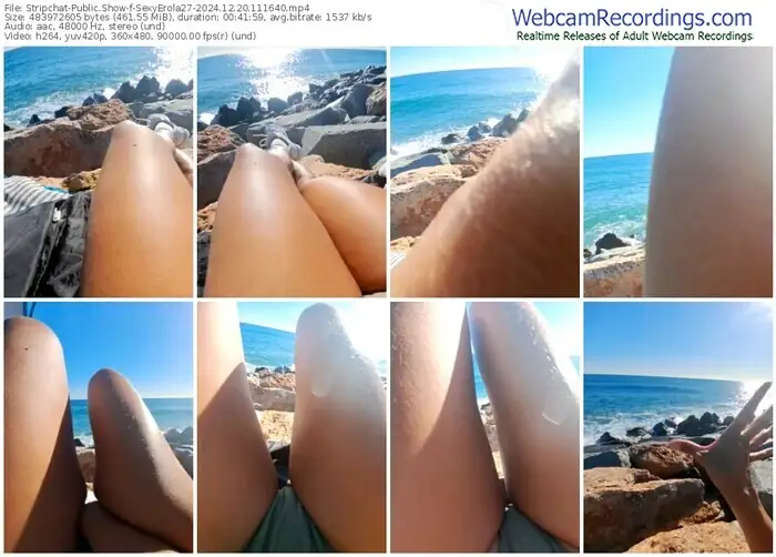 stripchat-sexyerola27-12-20-2024-11-16-40