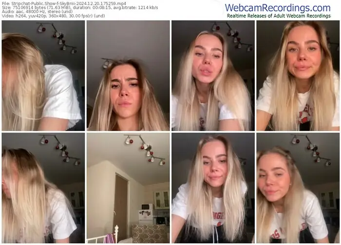 stripchat-skybriii-12-20-2024-17-52-59