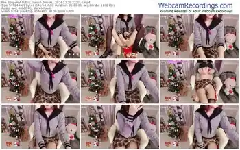 stripchat-_mizuki_-12-20-2024-22-20-14