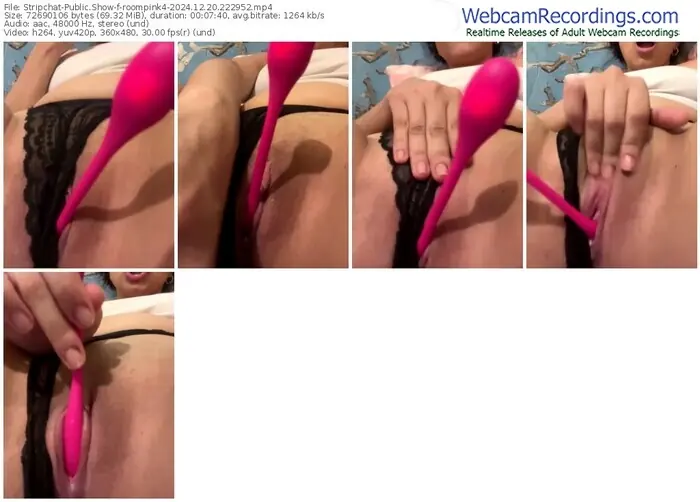 stripchat-roompink4-12-20-2024-22-29-52