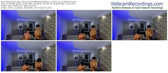 stripchat-smallbeautifulboys_-12-20-2024-08-41-24