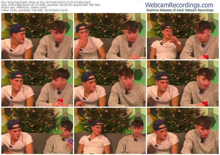 stripchat-vixi_wichsen-12-20-2024-20-14-02