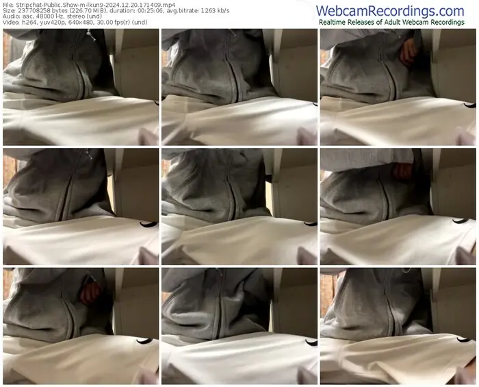 stripchat-lkun9-12-20-2024-17-14-09