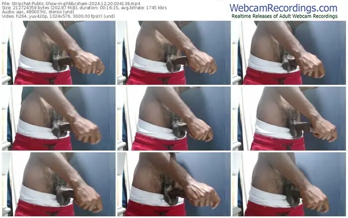 stripchat-phbbcsham-12-20-2024-00-41-38