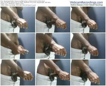 stripchat-phbbcsham-12-20-2024-01-23-01