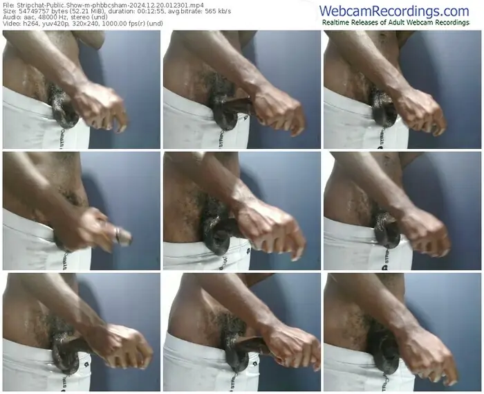 stripchat-phbbcsham-12-20-2024-01-23-01