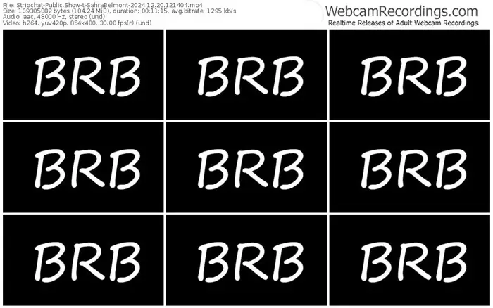 stripchat-sahrabelmont-12-20-2024-12-14-04