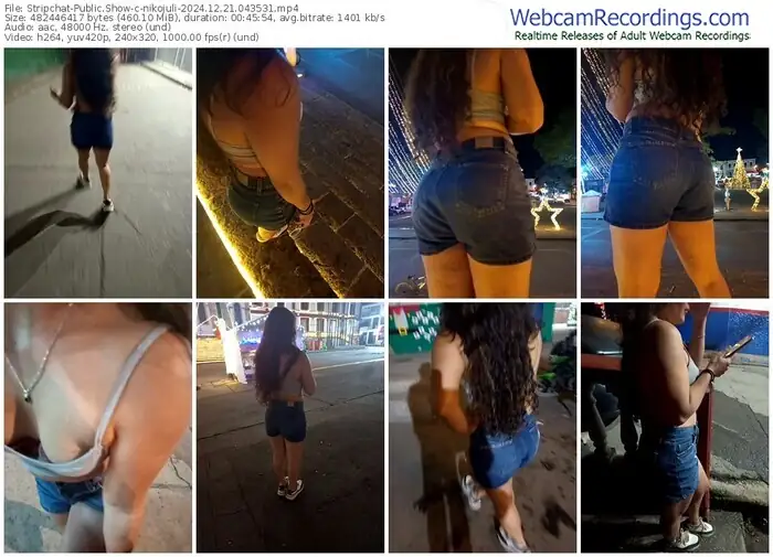 stripchat-nikojuli-12-21-2024-04-35-31