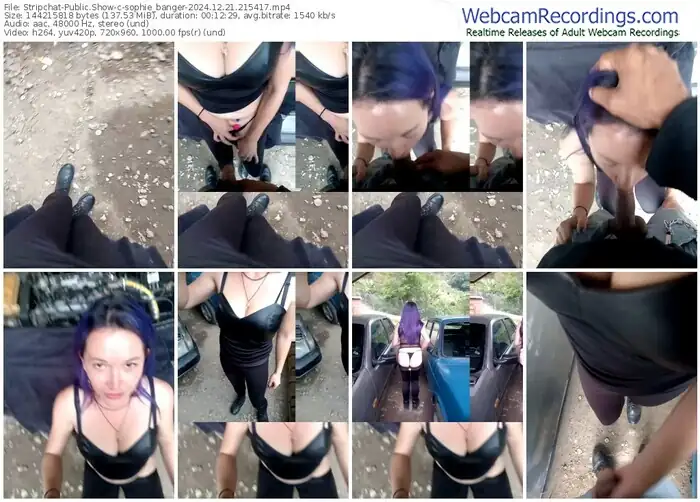 stripchat-sophie_banger-12-21-2024-21-54-17