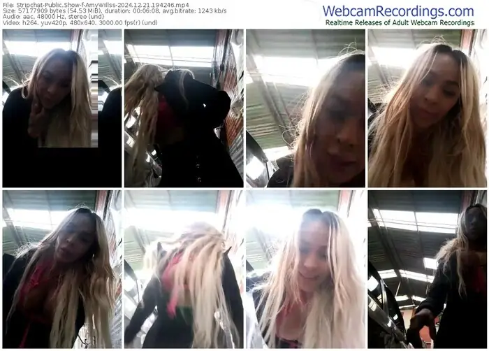 stripchat-amywillss-12-21-2024-19-42-46