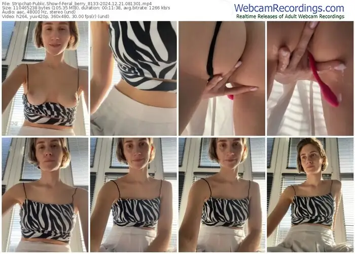 stripchat-feral_berry_8133-12-21-2024-08-13-01