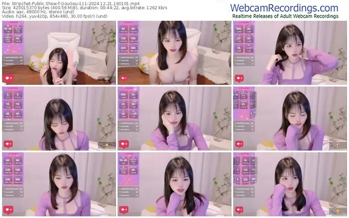 stripchat-gougou-111-12-21-2024-16-01-01