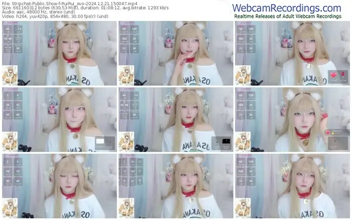 stripchat-ruirui_ovo-12-21-2024-15-00-47