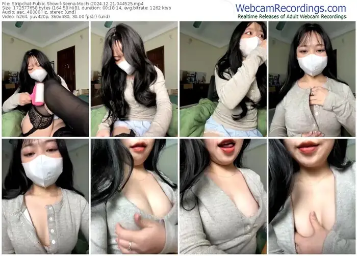 stripchat-seena-mochi-12-21-2024-04-45-25
