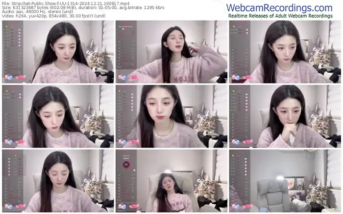 stripchat-uu-1314-12-21-2024-19-06-17