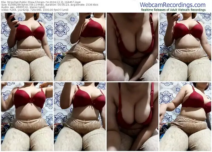 stripchat-hiram-74-12-21-2024-16-44-57