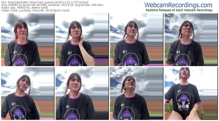 stripchat-pin_grimes-12-21-2024-17-27-14