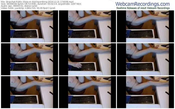 stripchat-dutchpornking-12-21-2024-17-40-38