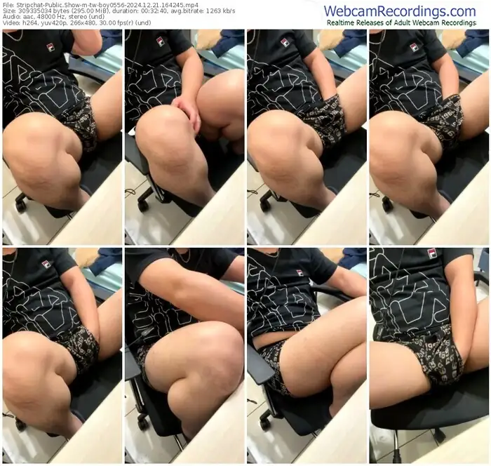 stripchat-tw-boy0556-12-21-2024-16-42-45