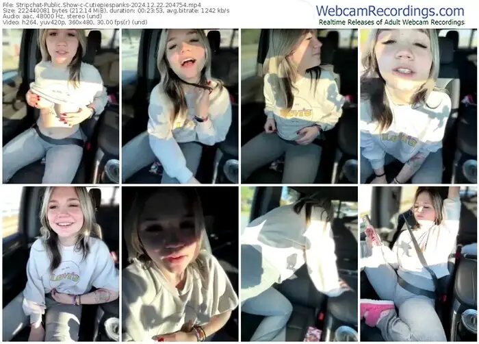 stripchat-cutiepiespanks-12-22-2024-20-47-54