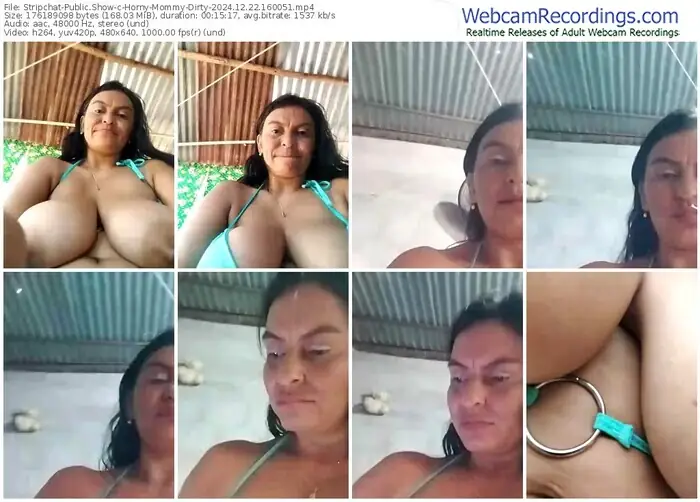 stripchat-horny-mommy-dirty-12-22-2024-16-00-51